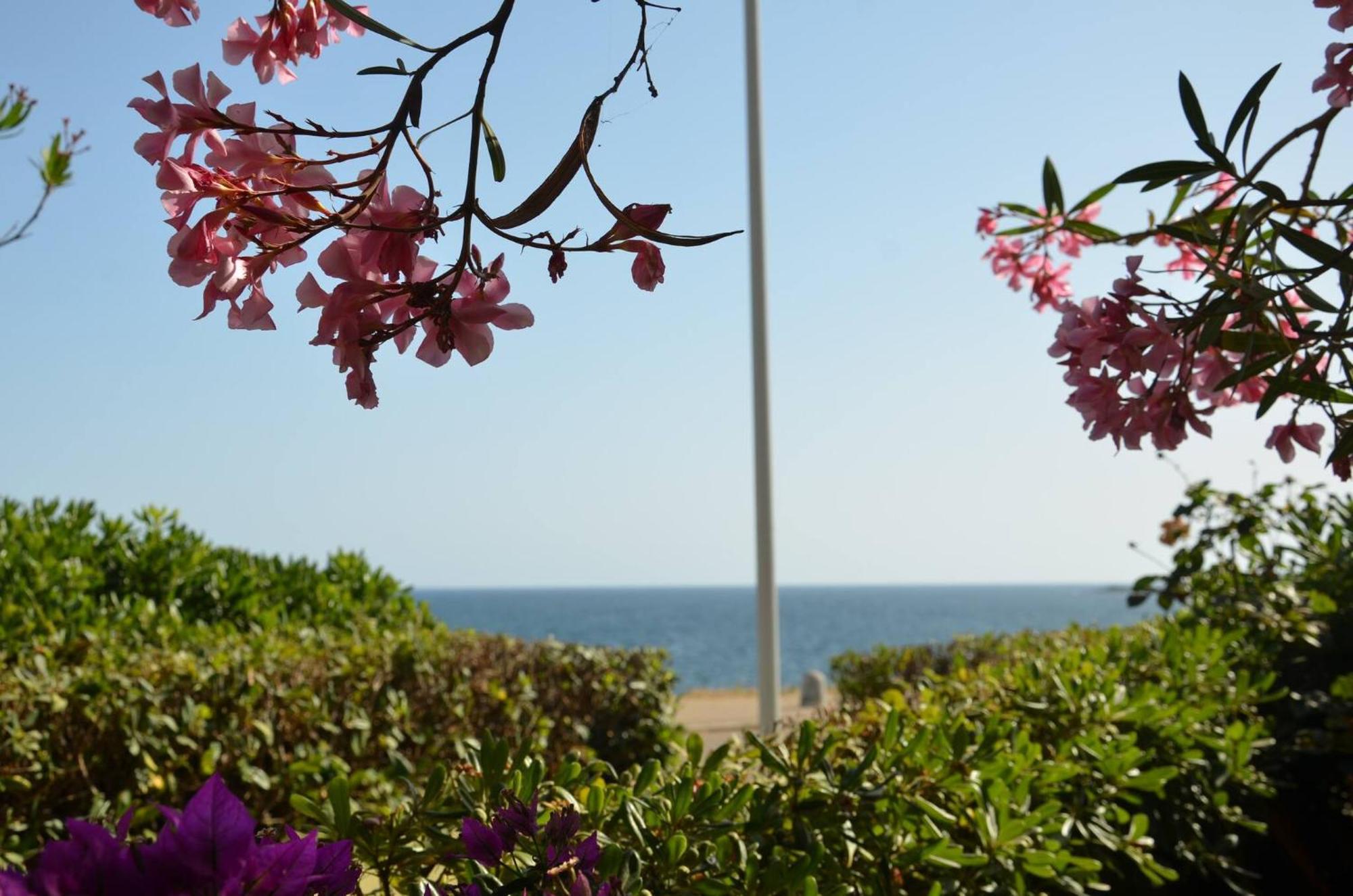 Appartamenti Fronte Mare Fertilia FAHO-GAV01-GAV02 Esterno foto